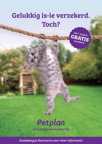 Poster-Petplan-mei-2018.jpg